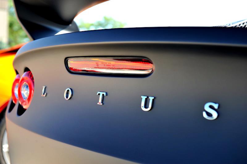 Lotus Caps