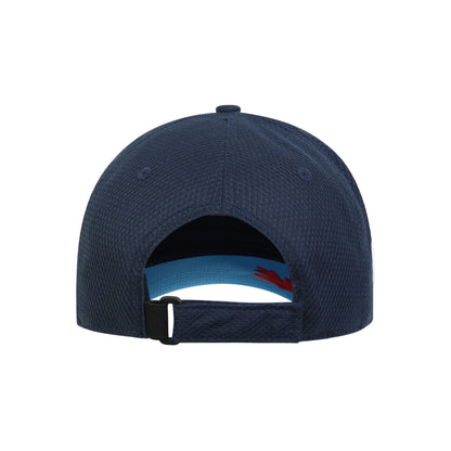 Williams Racing Team Nicholas Latifi Driver Cap Blue